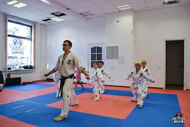 Школа тхэквондо "Грифон" (Звёздная) - фото, расписание, стоимость, отзывы - 2