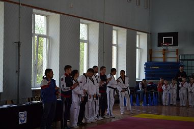 "Таеквондо2000" (Школа №509) - фото, расписание, стоимость, отзывы - 3