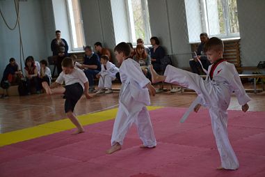 "Таеквондо2000" (Школа Экономики и Права) - фото, расписание, стоимость, отзывы - 1