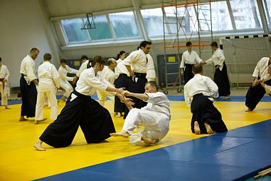 Клуб Айкидо "Сёрюкай" (Молодёжная) - фото, расписание, стоимость, отзывы - 1