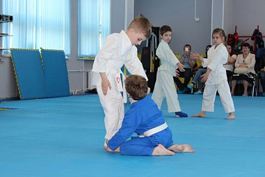 Федерация Универсальных боевых искусств (пр.Тореза) - фото, расписание, стоимость, отзывы - 2