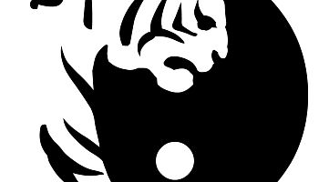 Клуб ушу "Белый тигр"