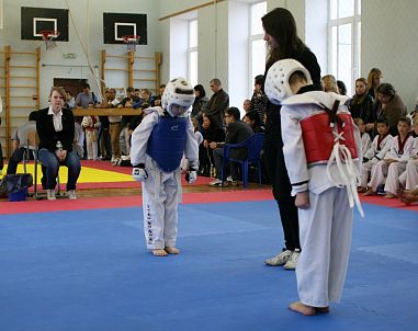 "Таеквондо2000" (СОК "Звезда") - фото, расписание, стоимость, отзывы - 3