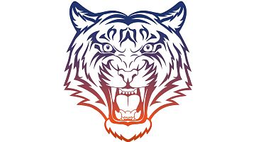 Клуб смешанных единоборств TIGRIS (Алексеевская)