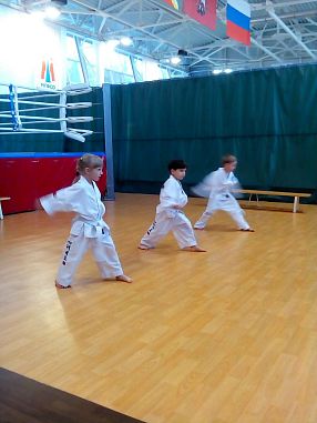 Школа Таэквон-До "Кристалл" (Позитив, Мечта-1) - фото, расписание, стоимость, отзывы - 1
