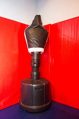 Бойцовый клуб "BEST" (Альпийский) - фото, расписание, стоимость, отзывы - 2