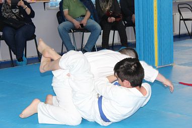 Федерация Универсальных боевых искусств (пр.Ветеранов) - фото, расписание, стоимость, отзывы - 3