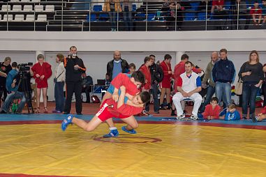 Детско-юношеский спортивный клуб "Ребята выборгской стороны" - фото, расписание, стоимость, отзывы - 3