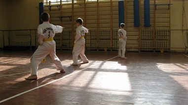 Black Eagle Taekwon-Do Sankt-Petersburg (ул.Зины Портновой) - фото, расписание, стоимость, отзывы - 6