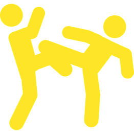 Единоборства