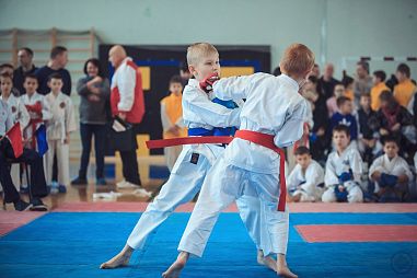 Зеленоградская Федерация Каратэ (ФОК «Савелки») - фото, расписание, стоимость, отзывы - 1