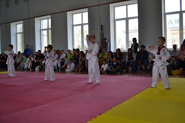 "Таеквондо2000" (Школа №509) - фото, расписание, стоимость, отзывы - 4