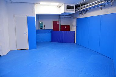 Клуб смешанных единоборств "Пальмира" (Удельная) - фото, расписание, стоимость, отзывы - 2