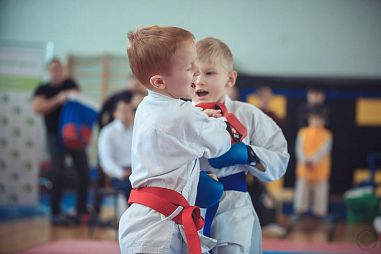 Зеленоградская Федерация Каратэ (ФОК «Савелки») - фото, расписание, стоимость, отзывы - 5