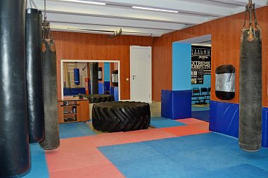 Клуб смешанных единоборств "Пальмира" (Международная) - фото, расписание, стоимость, отзывы - 5