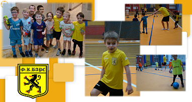 Футбольный клуб «Барс» (Левашовский) - фото, расписание, стоимость, отзывы - 1