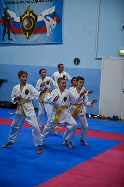 Спортивный клуб "АЛЬФА-БУДО" (Рокоссовского) - фото, расписание, стоимость, отзывы - 1