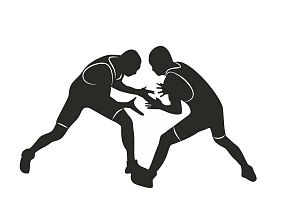 Борцовский клуб Руслана Шагина (ФОК "Атлант")