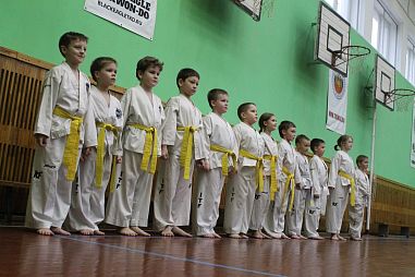 Black Eagle Taekwon-Do Sankt-Petersburg (Трамвайный пр.) - фото, расписание, стоимость, отзывы - 4