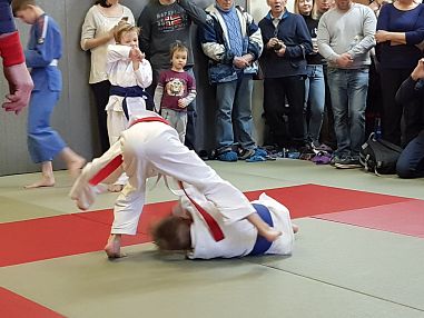 Детский спортивный клуб дзюдо и самбо "Север" - фото, расписание, стоимость, отзывы - 2