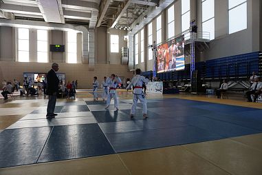 СКБИ "Сибирский Барс" (Электрозаводская) - фото, расписание, стоимость, отзывы - 2