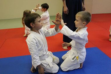 Айкидоклуб «Кацу Хаяби» (Озерки) - фото, расписание, стоимость, отзывы - 5