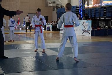 СКБИ "Сибирский Барс" (Электрозаводская) - фото, расписание, стоимость, отзывы - 1