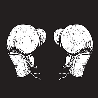 Спортивный клуб «Боевые перчатки» (Царицыно)