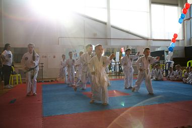 СК "Ястреб" (Петроградская) - фото, расписание, стоимость, отзывы - 1