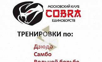 Клуб единоборств Cobra