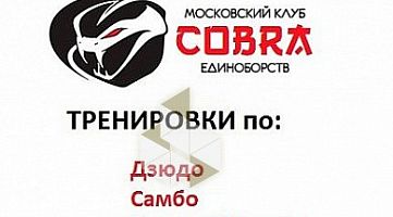 Клуб единоборств Cobra