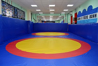 Клуб смешанных единоборств "Пальмира" (Пушкинская) - фото, расписание, стоимость, отзывы - 2