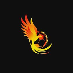 Детский футбольный клуб "Феникс"