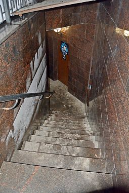 Клуб смешанных единоборств "Пальмира" (Удельная) - фото, расписание, стоимость, отзывы - 6