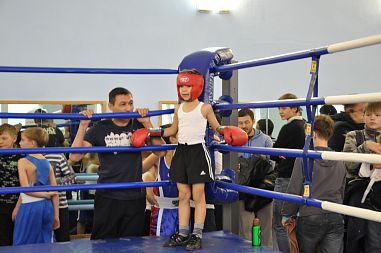 Школа бокса "Легион" - фото, расписание, стоимость, отзывы - 1