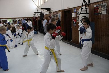 Секция кудо сенсея Дениса Синютина (Нагорная) - фото, расписание, стоимость, отзывы - 3