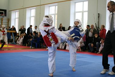 "Таеквондо2000" (ГБОУ ДОД ЦДЮТТ) - фото, расписание, стоимость, отзывы - 1