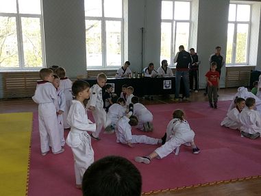 "Таеквондо2000" (Школа Экономики и Права) - фото, расписание, стоимость, отзывы - 2