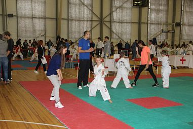 Школа Таэквон-До "Кристалл" (Зеленоград) - фото, расписание, стоимость, отзывы - 2