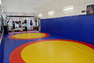 Клуб смешанных единоборств "Пальмира" (Площадь Мужества) - фото, расписание, стоимость, отзывы - 3