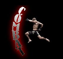 ШБИ "Комбат"