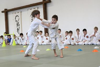 Центр боевых искусств "Корю Додзе" (Комендантский пр-т) - фото, расписание, стоимость, отзывы - 3