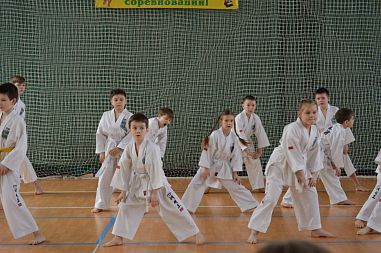 Школа Таэквон-До "Кристалл" (Алтуфьево) - фото, расписание, стоимость, отзывы - 3