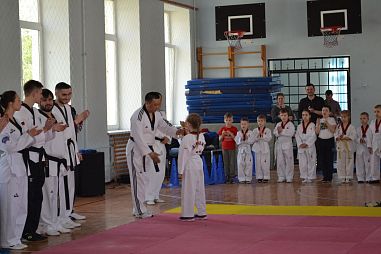 "Таеквондо2000" (Школа №509) - фото, расписание, стоимость, отзывы - 1