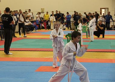 Школа Таэквон-До "Кристалл" (Зеленоград) - фото, расписание, стоимость, отзывы - 4