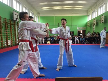 Black Eagle Taekwon-Do Sankt-Petersburg (Академическая) - фото, расписание, стоимость, отзывы - 5