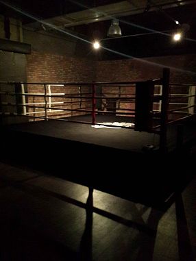 Боксерский клуб ARMA ARTIS - фото, расписание, стоимость, отзывы - 1