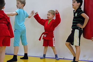 ШБИ "ДоДзё" - фото, расписание, стоимость, отзывы - 3