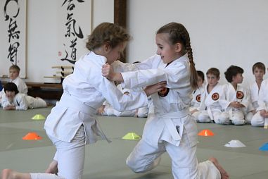 Центр боевых искусств "Корю Додзе" (Комендантский пр-т) - фото, расписание, стоимость, отзывы - 2