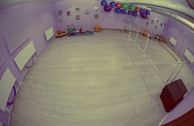 Детский спортивно-оздоровительный центр "Алекса" - фото, расписание, стоимость, отзывы - 2